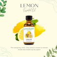 thumbnail image 5 of Lemon Essential Oil – 8 fl oz (237 ml) Aluminum Bottle w/Plug Cap – 100% Pure Essential Oil, 5 of 7