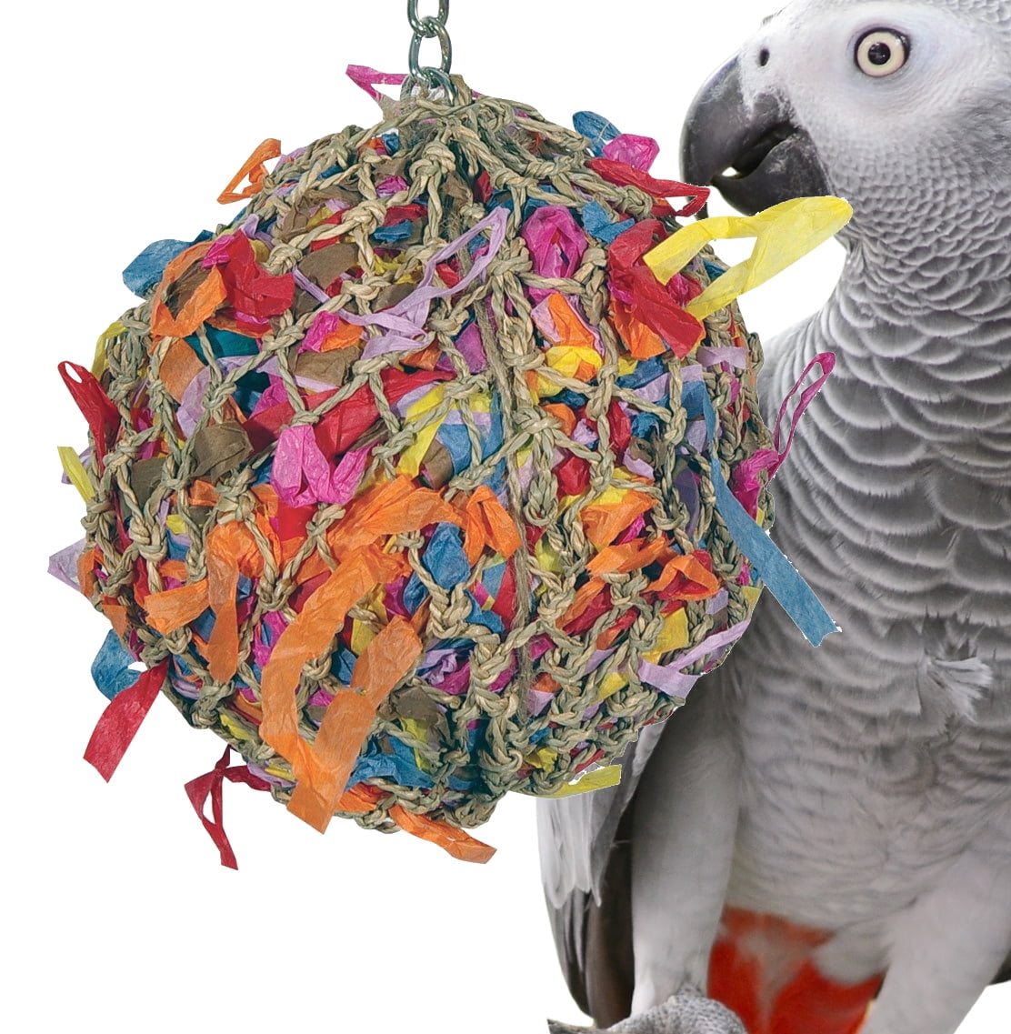 Parrot toys for sale cheap