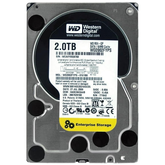 RE4-GP WD2002FYPS Hard Drive