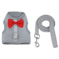 thumbnail image 1 of CSChome Pet Harness Leash Stylish Decoration Small Pets Pet Harness Leash - Rabbit Traction Harness for Outdoor Walking, 1 of 7