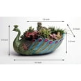 thumbnail image 3 of Pot de Plantation de Cactus Paon 4 Pouces, 3 of 4