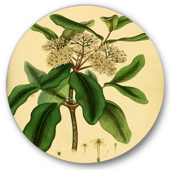 Designart 'Ancient Plant Life I' Traditional Circle Metal Wall Art 36x36 - Disc of 36