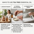 thumbnail image 6 of Tea Tree Essential Oil, Pure Aroma, Antiseptic & Refreshing Aroma, 10ml, 6 of 8