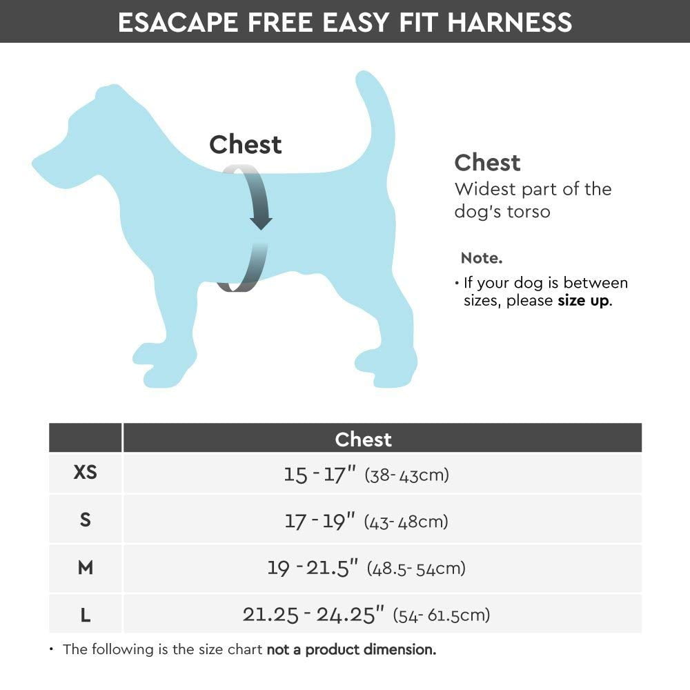 gooby simple step in harness instructions