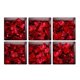 thumbnail image 1 of 2x 6 Unidades de de Seguridad Adhesiva Mat Apliques de Bañera, Etiqueta de Calcomanías Decorativas Papel de Pared para Accesorios D perfecl Pegatinas antideslizantes para bañera, 1 of 7