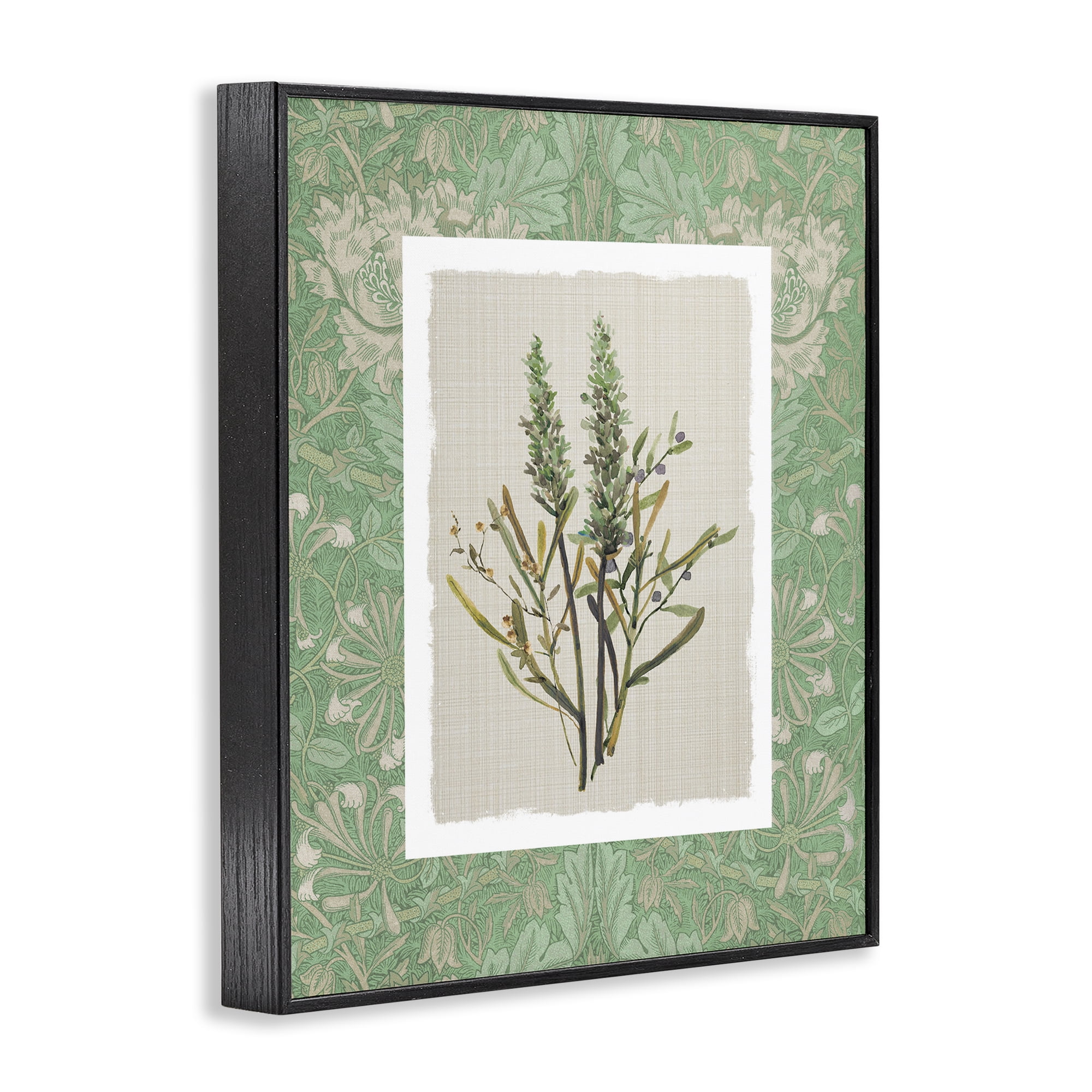 Stupell Industries Antique Foliage in Green Black Framed Giclee Art, design by Carol Robinson