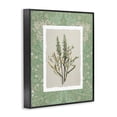 thumbnail image 2 of Stupell Industries Traditional Antique Foliage in Green Black Framed Giclee Art, 11 x 14, by Carol Robinson, 2 of 8