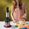 Vitamix Immersion Blender 5Piece Set