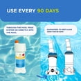 thumbnail image 3 of FROG BAM 90-Day Algae Preventative - Pool Winterizer Chemical and Algaecide Treatment for Preventing & Removing Algae - Compatible with all FROG Pool Products, 3 of 4