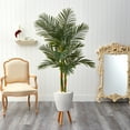 thumbnail image 3 of Nearly Natural 5.5' Golden Cane Artificial Palm Tree in White Planter, 3 of 4