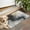 Black White Gold-1, variant on Blue Marble Gold Pattern Door Rugs,Washable Non Slip Door Mats Indoor,Decorative Door Mats,Entry Mat Indoor for Entrance,Bedroom,Kitchen,Bathroom,16"x24"