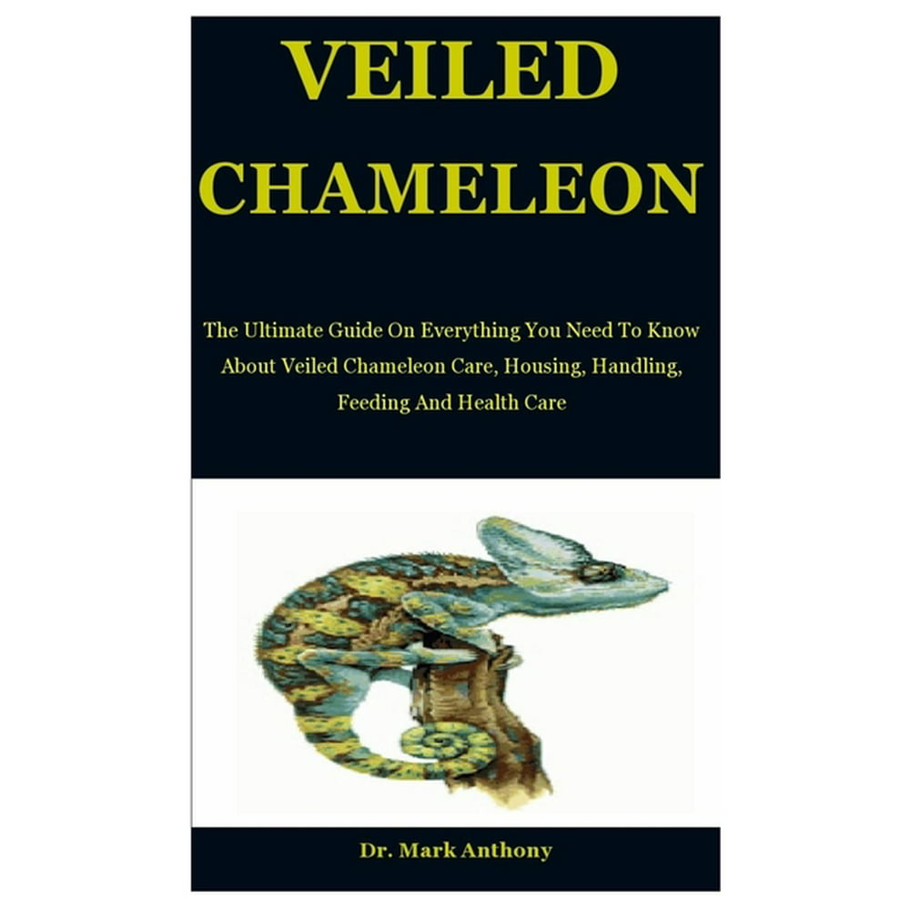 Veiled Chameleon : The Ultimate Guide On Everything You Need To Know