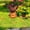 D, variant on Pumpkin Yard Signs with Stakes - Halloween Garden Stakes 2D Flat Small Witch Girl/Pumpkin Man Decorative Stakes Outdoor For L Awn Yard Halloween Outdoor Decorations