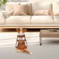 thumbnail image 5 of Qyaukm Pet Dog Sweater Size XS, Warm Winter Autumn Coat Costume for Small Breeds, Brown Knit Apparel for Cold Weather Comfort, 5 of 8