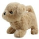 thumbnail image 1 of Ofertas de Cyber Monday 2023: juguetes de peluche eléctricos de simulación para cachorros, perros que pueden caminar y llamar, juguetes de regalo para niños de 3 a 6 años., 1 of 5