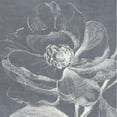 thumbnail image 3 of Loreth, Lanie 12x12 Black Modern Framed Museum Art Print Titled - Neutral Floral Drawing II, 3 of 5