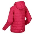 thumbnail image 2 of Regatta Boys/Girls Hillpack Hooded Jacket, 2 of 7