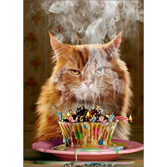 Avanti Press Birthday Cupcake Funny / Humorous Birthday Card