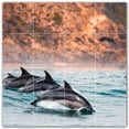 thumbnail image 1 of Picture-Tiles.com: Dolphin Ceramic Tile Wall Mural WAL500530-44XL. 48"W x 48"H using (16) 12" x 12" Ceramic Tiles-Satin Finish, 1 of 3