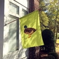 thumbnail image 2 of Caroline's Treasures BB7693CHF Silver Bantam Duck Green Flag Canvas House Size , Large, multicolor, 2 of 4