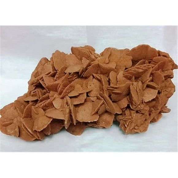 20 lbs Sable de Calcium Rose Rock