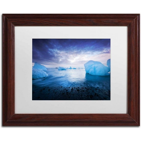 Trademark Fine Art 'Leave a Trace' Canvas Art by Philippe Sainte-Laudy, White Matte, Wood Frame