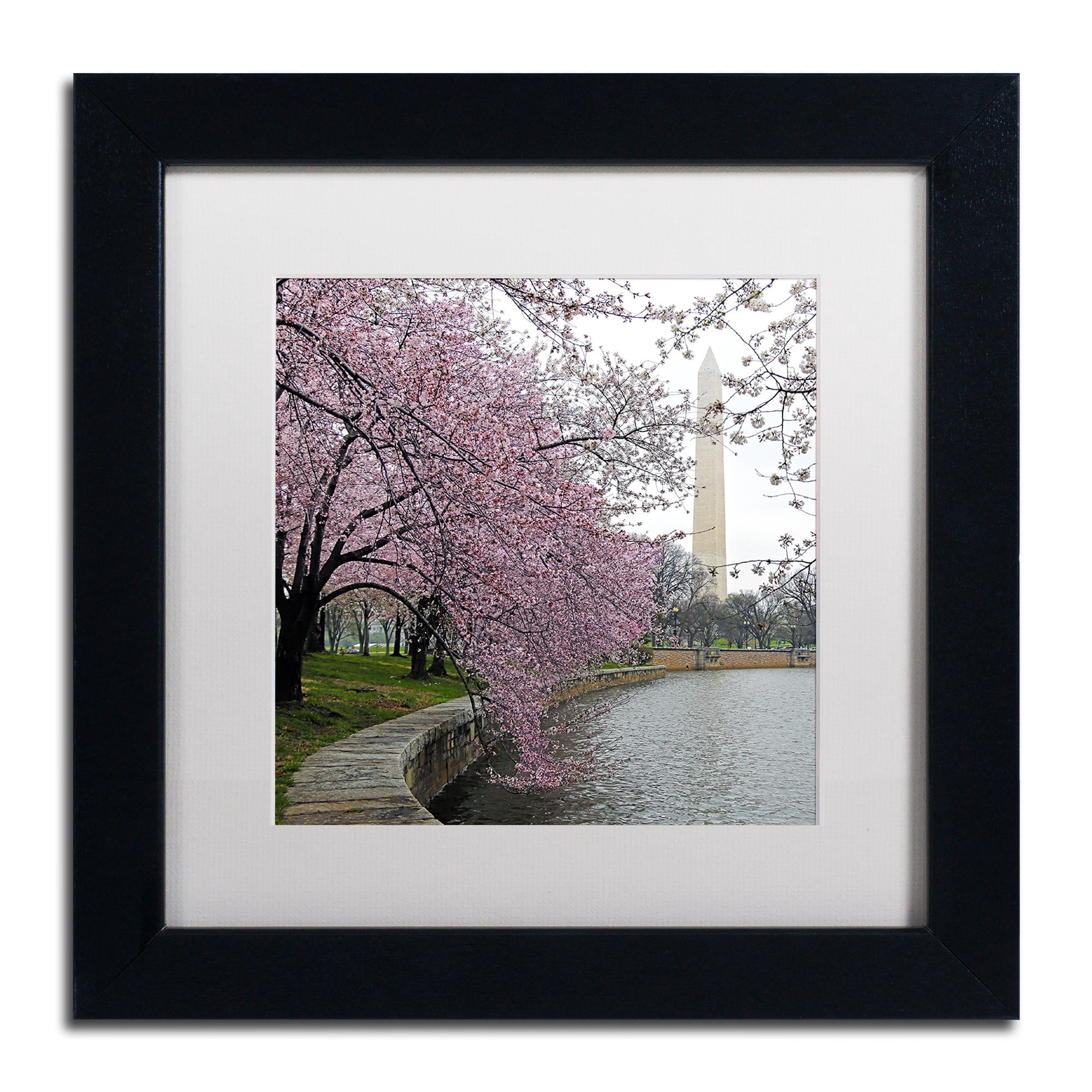 "Washington Blossoms" Canvas Art by CATeyes, White Matte, Black Frame
