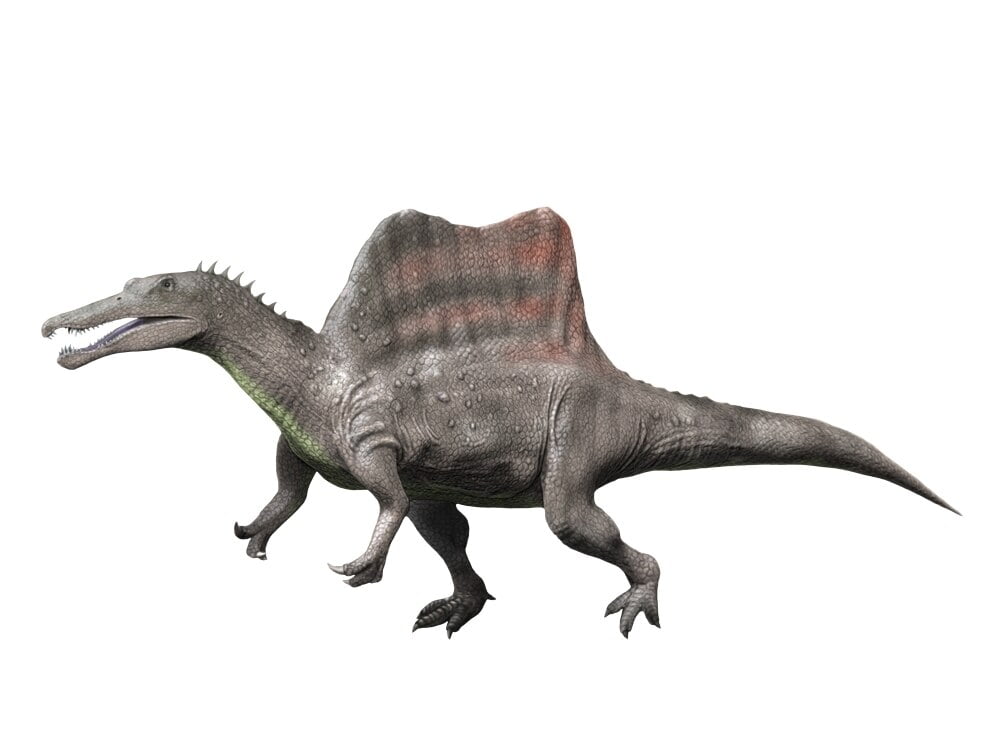 spinosaurus camp cretaceous walmart
