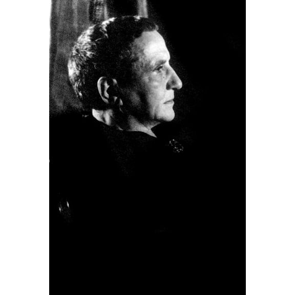 Gertrude Stein Remembered (Paperback)