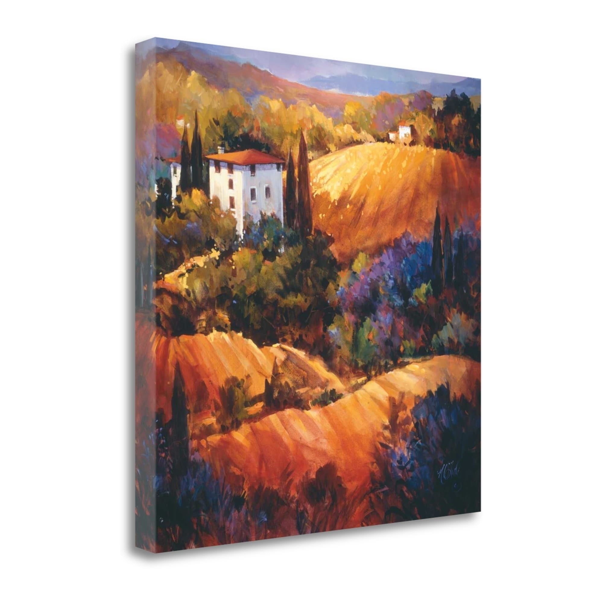 Tangletown Fine Art Evening Glow Tuscany By Nancy Otoole Painting Print On Wrapped Canvas Walmart Com Walmart Com