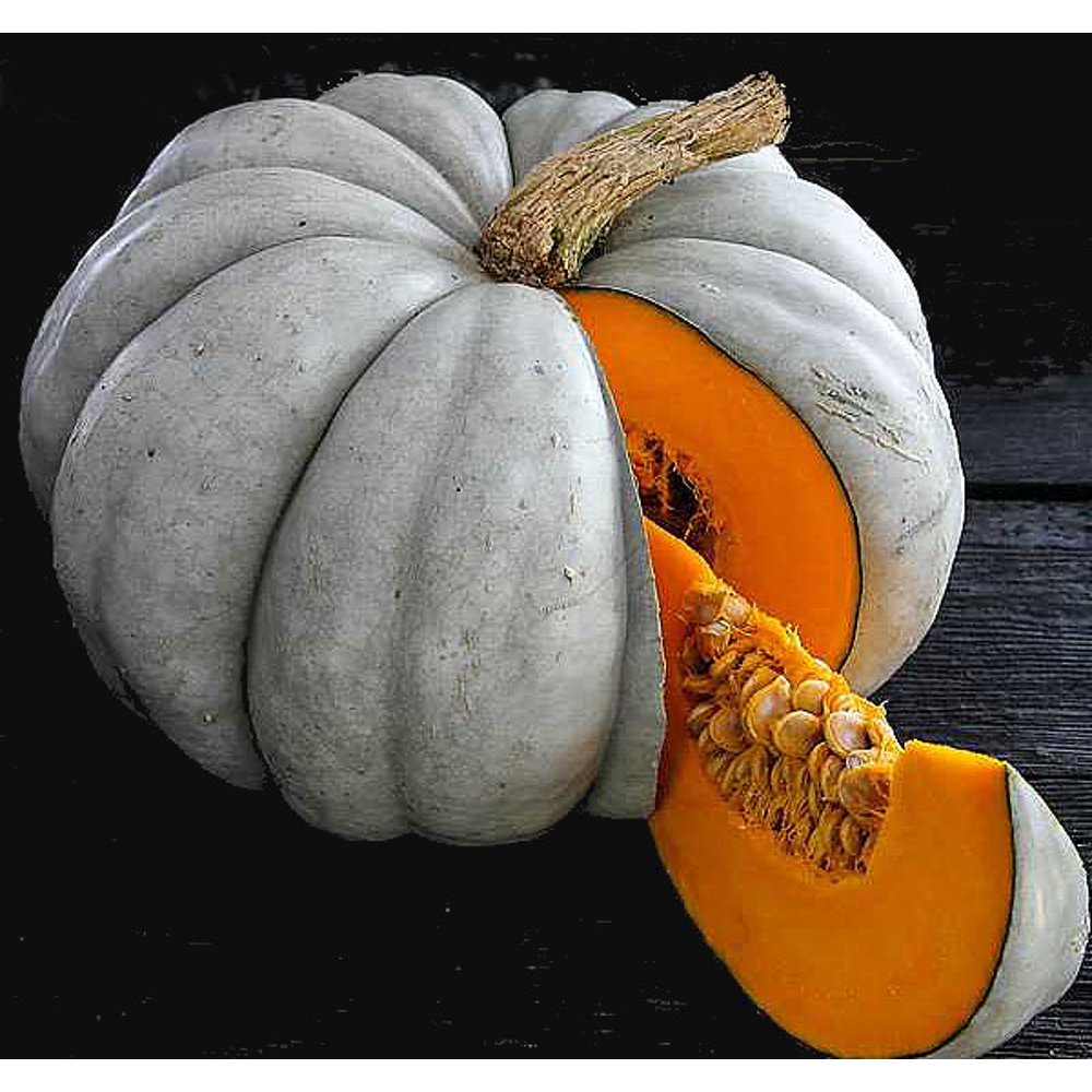 Blue Jarrahdale Pumpkin 15 Seeds Decorative & Edible