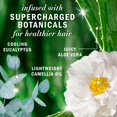 thumbnail image 4 of Herbal Essences Scalp + Purify Eucalyptus Sulfate Free Conditioner, 400ml, 4 of 13