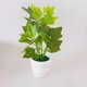 thumbnail image 3 of Gwong Decoración hogareña Planta en maceta Lifelike Artificial Bonsai Decoración de escritorio Fake Green Plant para la exhibición del hogar Gwong 21056910, 3 of 6