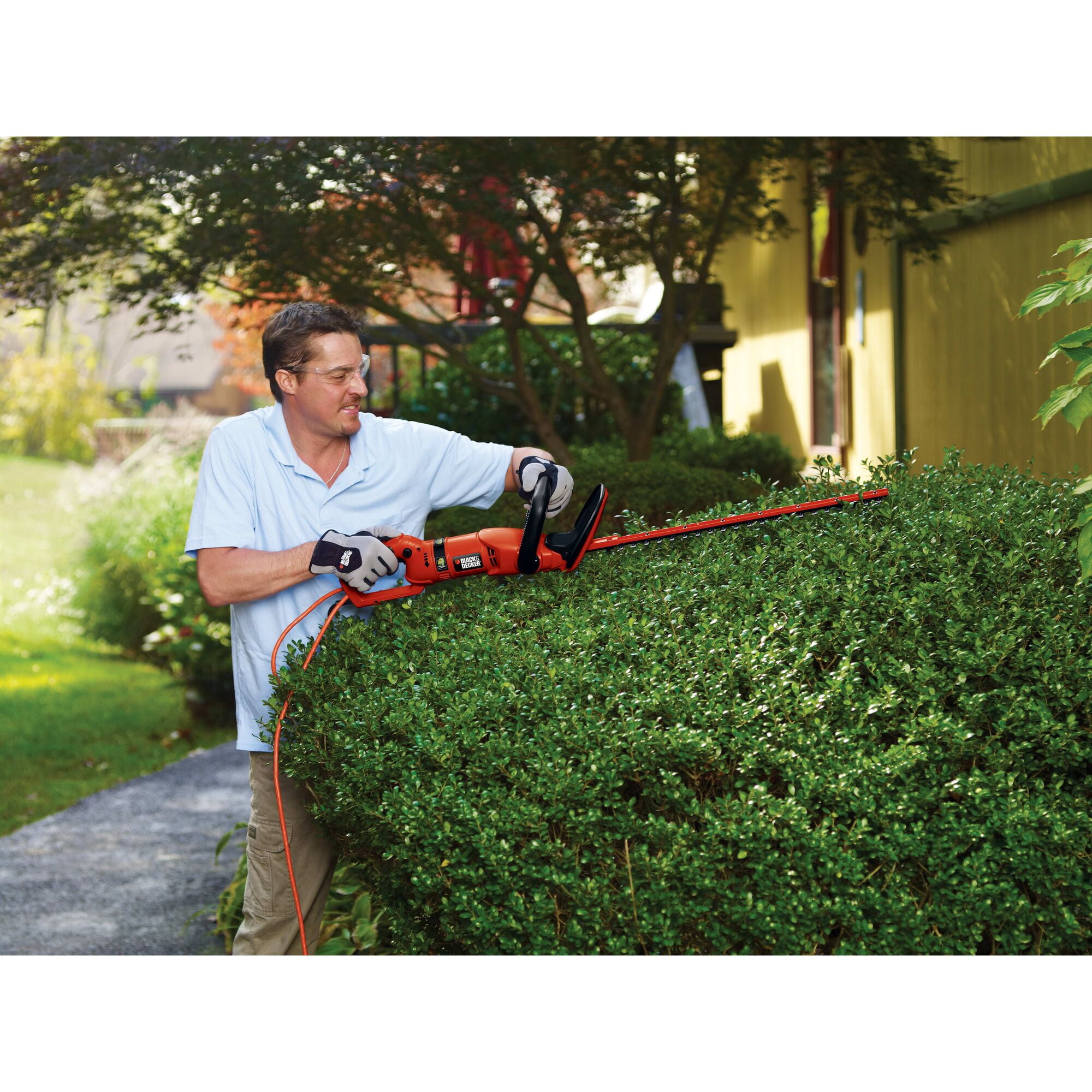 Black & Decker HH2455 24-inch HedgeHog Dual-action Blade Hedge Trimmer