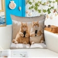thumbnail image 4 of Yeciiwht Cute Animals Print Pillow Covers 18x18 Inches Decorative Throw Pillow Covers, Bedroom Living Room Sofa Cushion Covers Soft Cozy Pillow Case for Home Decoration, 4 of 6