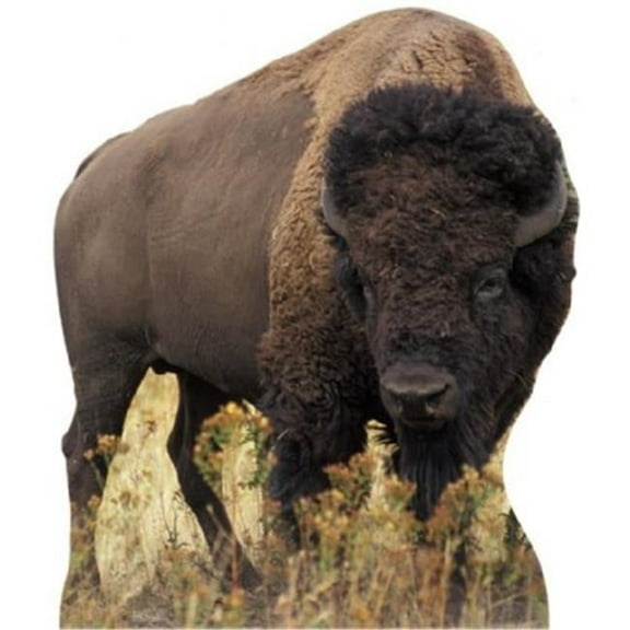 Bison Life Size Cardboard Standup
