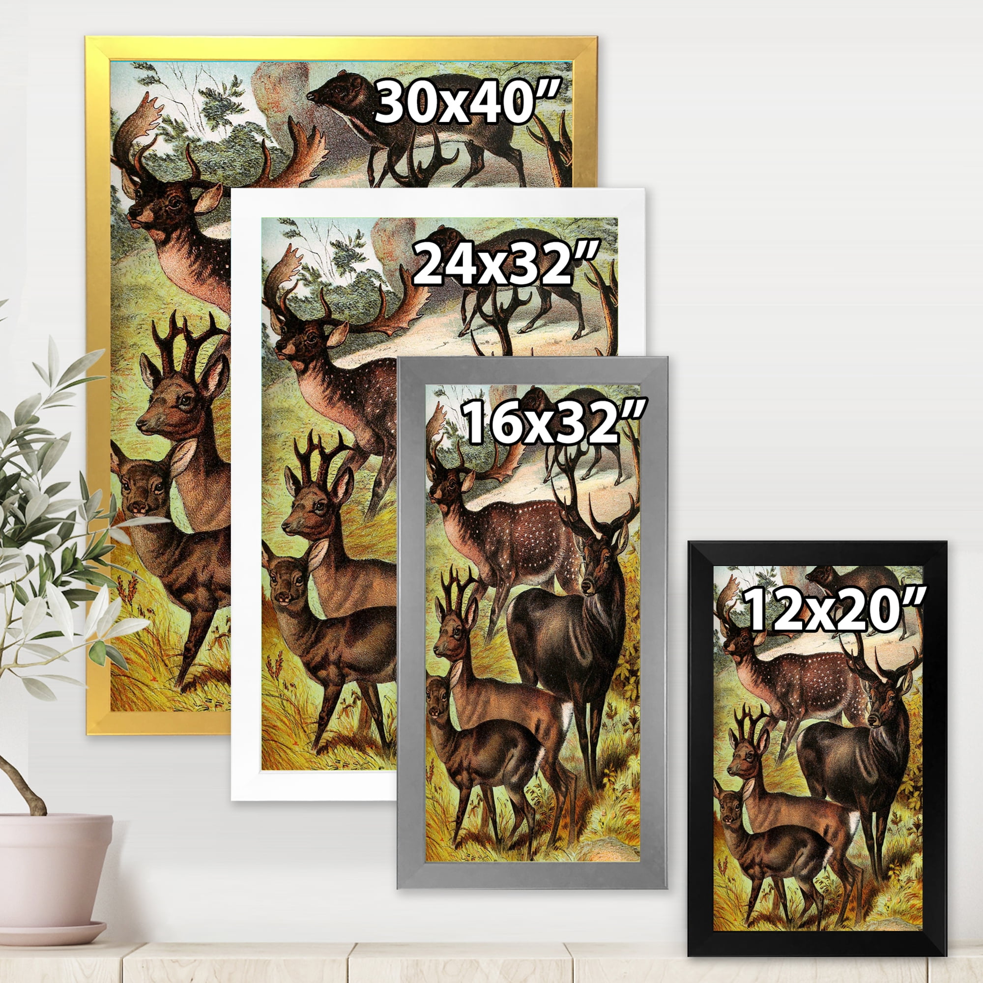 Designart 'Old-world Mammals I' Farmhouse Framed Art Print