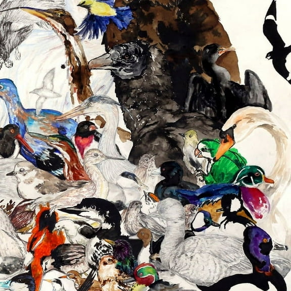 10,000 Birds: Volume 1, (Paperback)