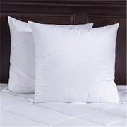 Down Decor I122F2 22 x 22 in. Feather Pillow Insert Twin Pack Pillow - Set of 2