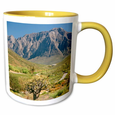 3dRose Mountain range, Worcester Nature Reserve, Western Cape, South Africa. - Two Tone Yellow Mug,