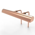 thumbnail image 1 of Cocoweb 14" Classic LED Picture Frame Light in Rose Gold with Plug-in Adapter, 1 of 4