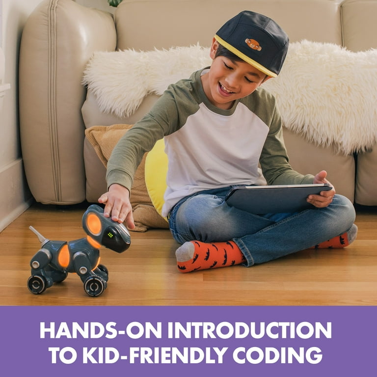 Educational Insights PYXEL A Coder's Best Friend, Coding & STEM