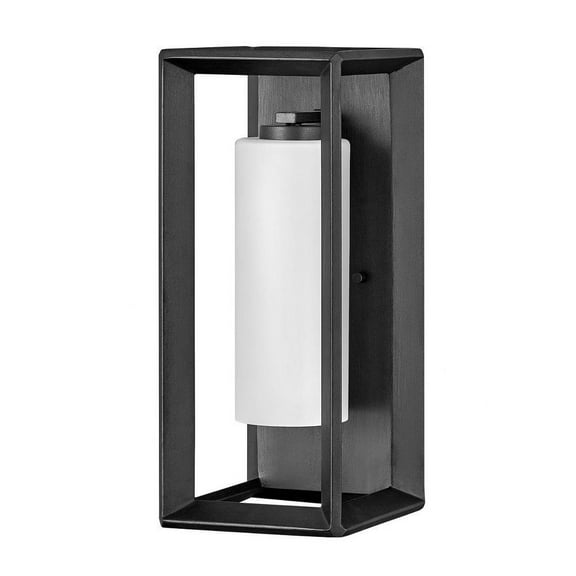 1 Light Medium Outdoor Wall Sconce in Craftsman-Industrial Style 7.25 inches Wide By 16.75 inches High-Brushed Graphite Finish-Incandescent Lamping
