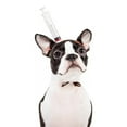 thumbnail image 2 of Halloween Dog Costumes for Large Dogs Pet Hat Halloween Funny Decoration Realistic Design Dog Hat Cosplay Halloween Dog Toys for Large Dogs Dog Halloween Costumes Medium, 2 of 4