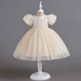 thumbnail image 5 of YWDJ Children Baby Girls Middle-aged Childrens Sleeveless Embroidery Mesh Dress Gauze Dress Princess Dress Beige 2-3T, 5 of 9