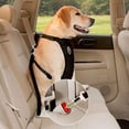 thumbnail image 3 of Breathable Mesh Dog Harness Leash - Adjustable Straps for Safety and Comfort ShopWise Round, 3 of 25