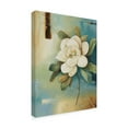 thumbnail image 2 of Trademark Fine Art 'Magnolia Abstract II' Canvas Art by Lisa Audit, 2 of 3