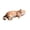 Cat C# Orange Tabby Cat, variant on Realistic Sleeping Cat Stuffed Plush Pillow, Lifelike Kitten Decor Cushion, 15.74in Cat Style Animal Shaped Sofa Ornament (# Cat A# Siamese Cat)