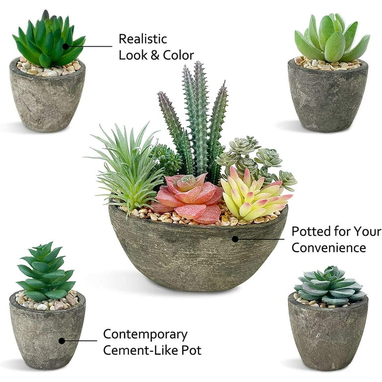 indoor house plant pesticide Natural + Non-Toxic Houseplant Pest Spray main image 1