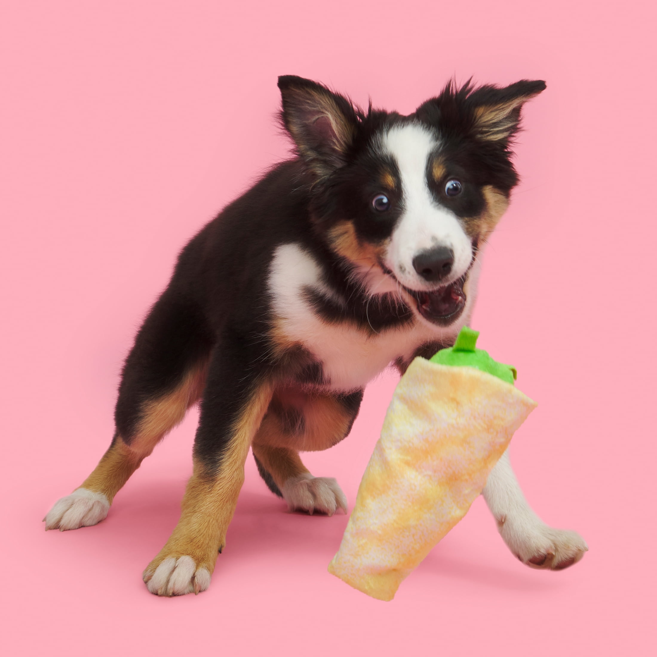 BARK Wake N Crepe Dog Toy, Multi-color, Barkfest in Bed, For Extra Small to Small Dogs